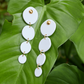 Caladio Earrings