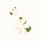 Flora Color Earcuff